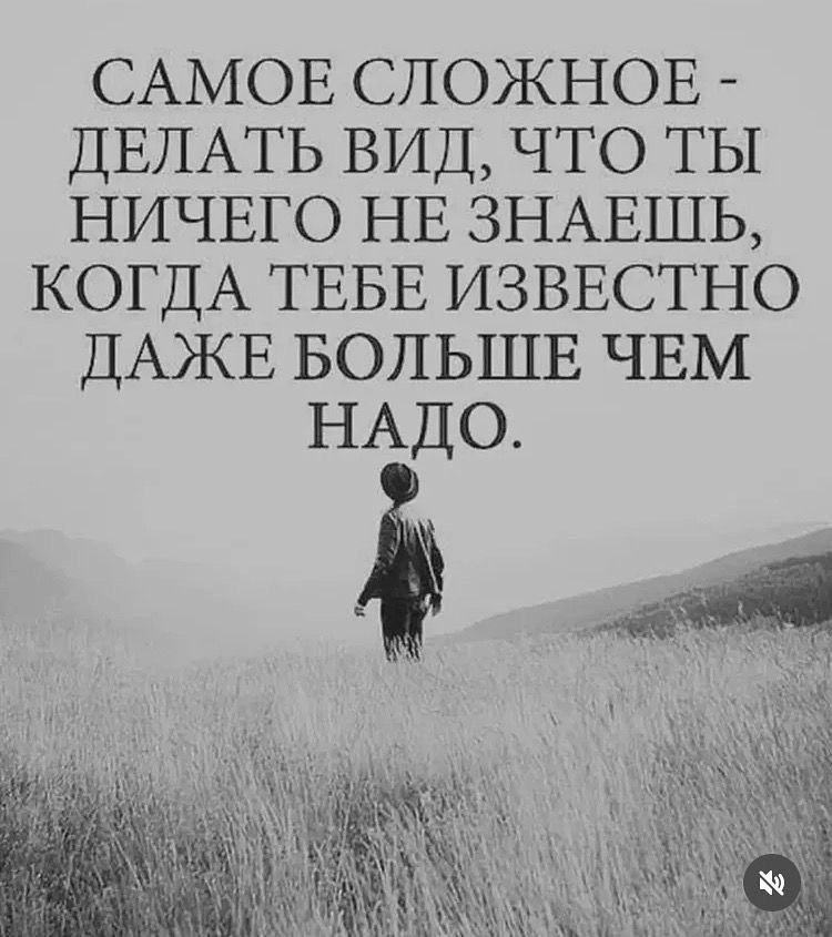   - 8  2025  21:59