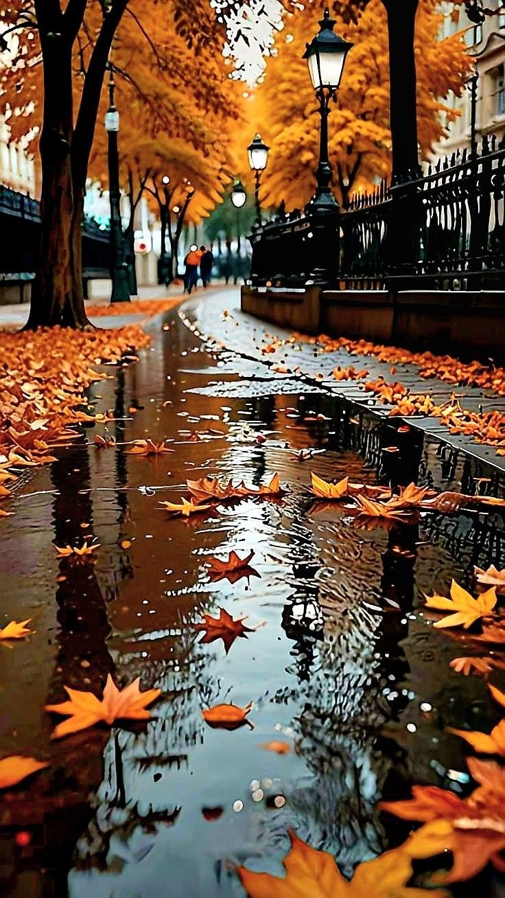 ... ...   ,  ... , ,  ... ...