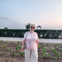 , 62, 