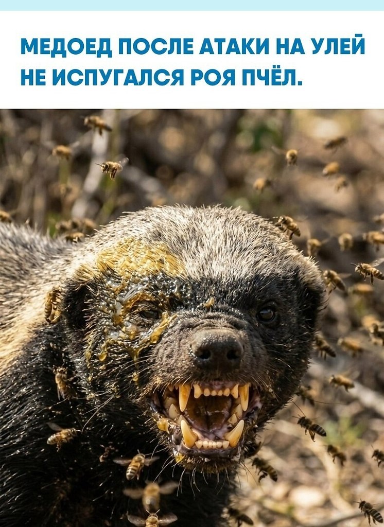 a c����e e�o �op�a �o�p��a ��o� � �oc�o�, a �o�p�� �p��a� �����, �o ��o e�o �e oc�a�a����ae�. ��� ...