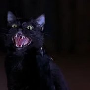 ������, 29 ���, ������-��-����