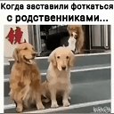  ,  -  26  2024     -      .