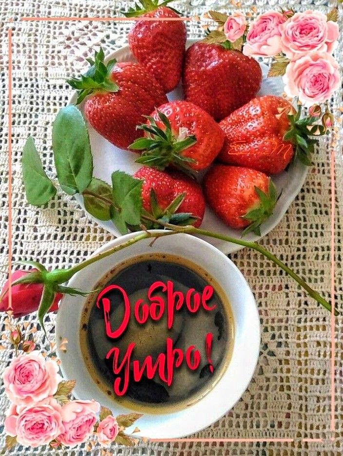 ***Victoria Viktorovna*** - 28  2025  04:57