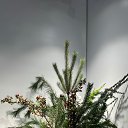 ���� �������, ������, 44 ���� - ��������� 13 ������� 2023 � ������ ���� ����������