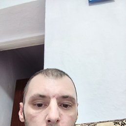 �������, ����������, 33 ����