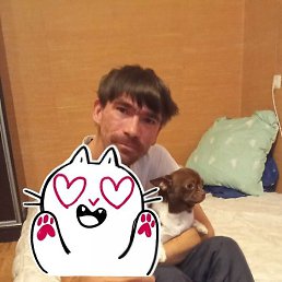 ������, ��������, 31 ���