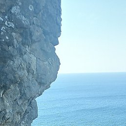 �����, ���, 56 ���