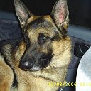 ���� ������, ���������, 52 ���� - ��������� 4 ������� 2025 � ������ ���� ����������