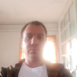 , 37, 