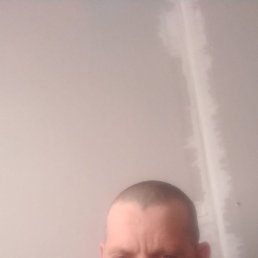 ����, �������, 46 ���