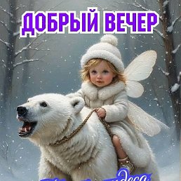 ���� �����, ������, 31 ��� - ��������� 7 ��� 2026