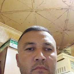 , 29, 