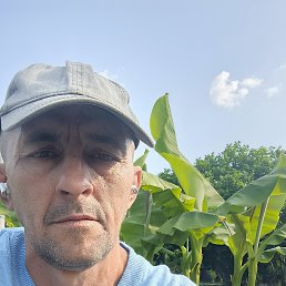 , 49 , 