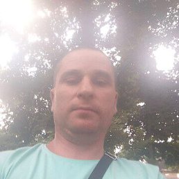 , 44, 
