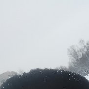 �������, 54 ����, ������