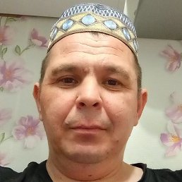 �����, ������, 41 ���