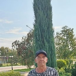 ����, 54 ����, ������