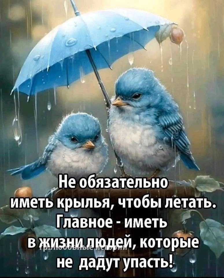   - 19  2024  19:41