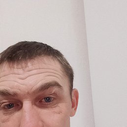 �������, 41 ���, ����