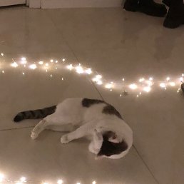 ������, ������, 18 ���