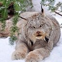 ������ �����. �� ������� ���� ����������