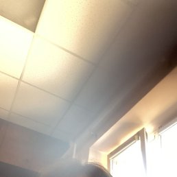 , 59, --