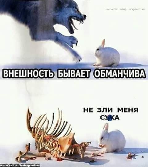   !!! - 30  2024  09:58