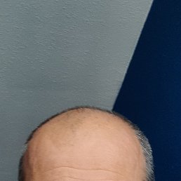 , 53, 