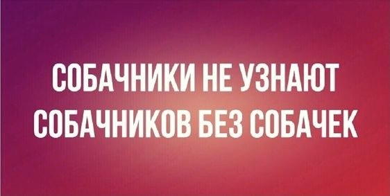   - 27  2024  19:06