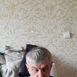 ����, 66 ���, ��������