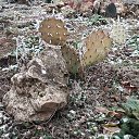 ���� �������, ������, 51 ��� - ��������� 11 ������ 2024 � ������ ������ ��������