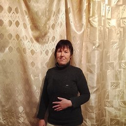 �����, 41 ���, ������