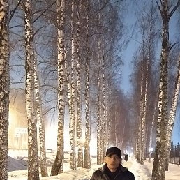 ����, ������, 44 ����