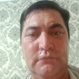 ������, �����-���������, 48 ���