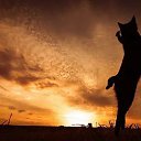 ���� �������, ������������, 46 ��� - ��������� 5 ������ 2025 � ������ �������� ����