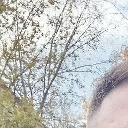 ����, ������, 38 ���