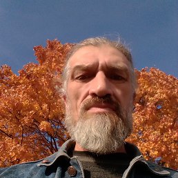 , 54, 