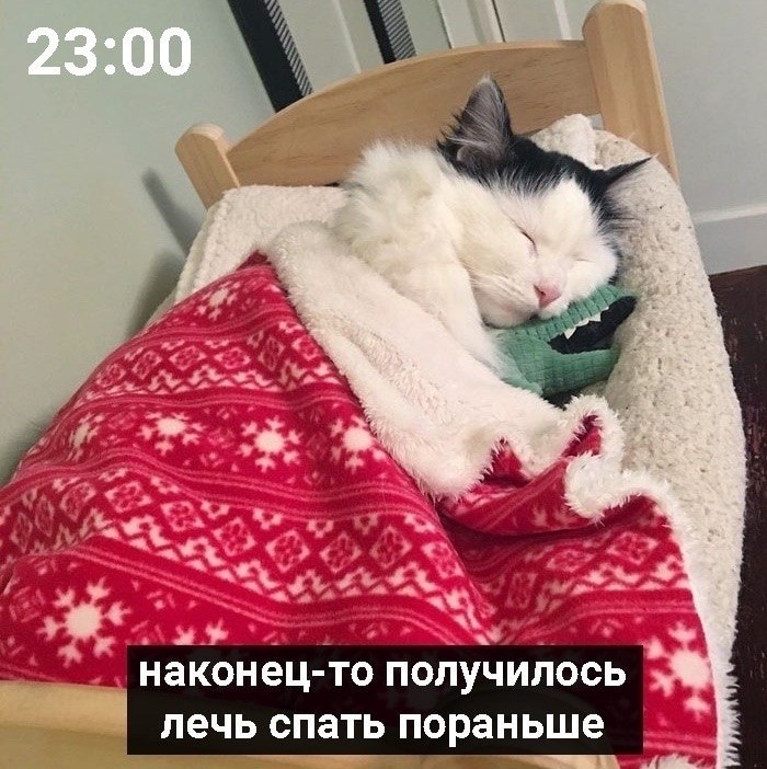 ������ �����