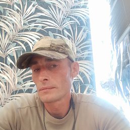 ����, ��������, 37 ���