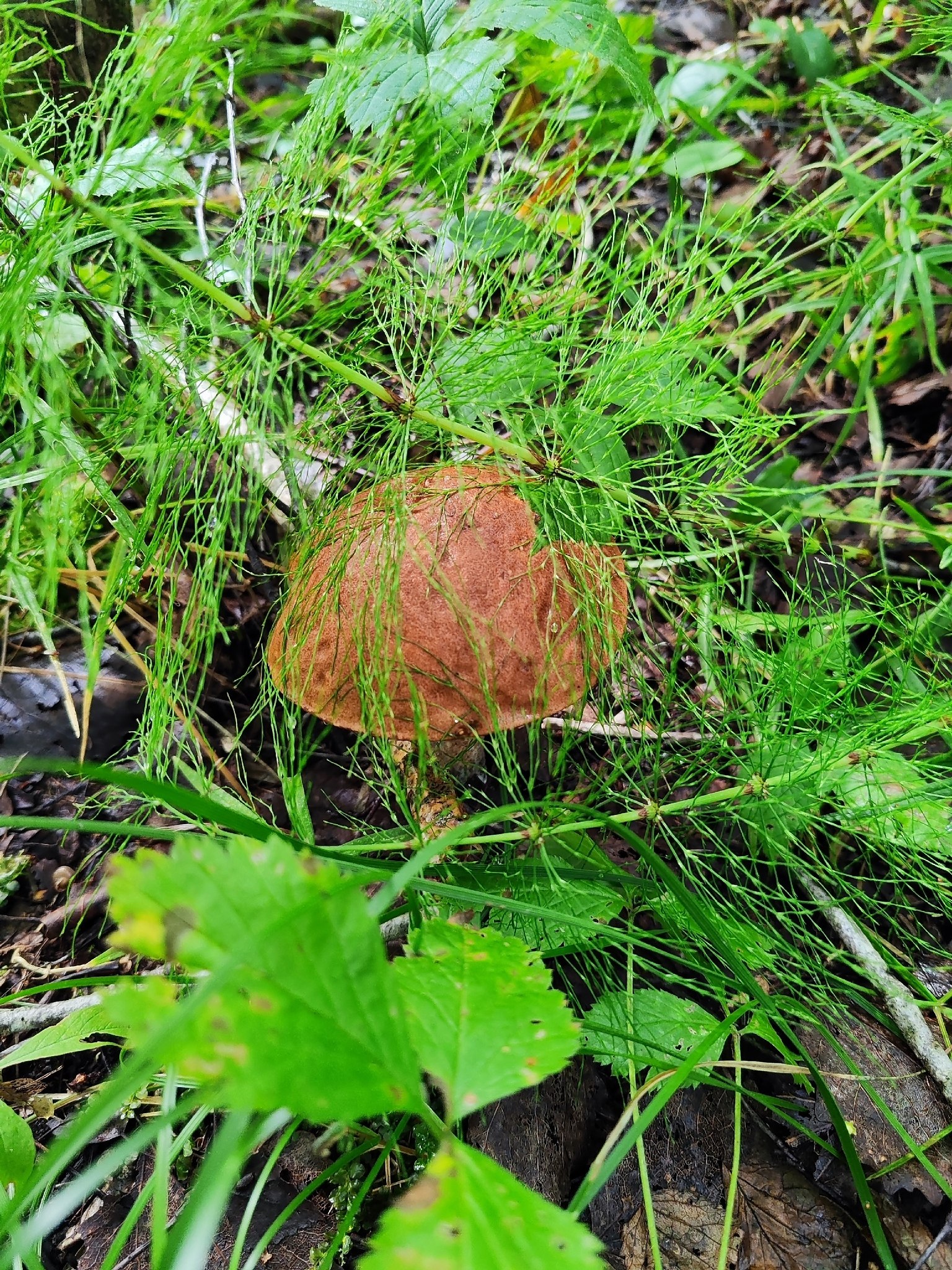   - 12  2025  16:15 - 2