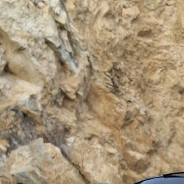 ����, ����, 51 ���