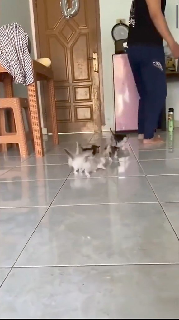 ������� ������� �� ��������. ����� ������ ��� ����������� ����������)) - 2