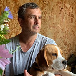 ������, 57 ���, �����������