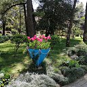 ���� *Galina*, ������, 54 ���� - ��������� 25 ������ 2026 � ������ ���� ����������