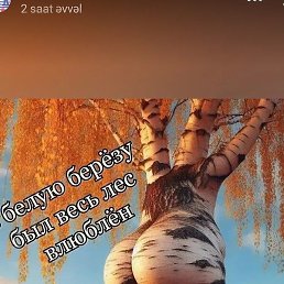 , , 36 