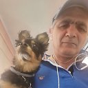 ���� ��������, ������, 63 ���� - ��������� 2 ������ 2026 � ������ ���� ����������