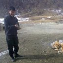 ���� ��� ������, �������, 37 ��� - ��������� 20 ���� 2024 � ������ ���� ����������