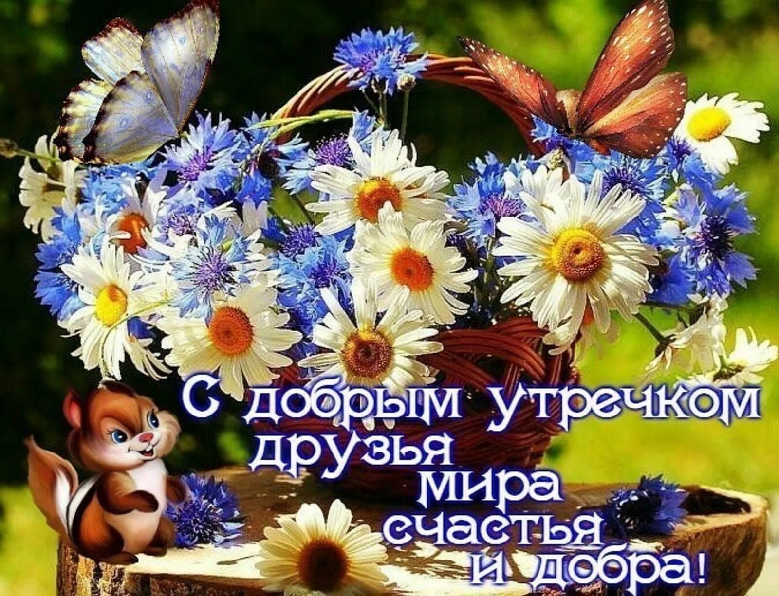  - 11  2024  09:04