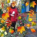 ���� ������, ����������� - ��������� 23 ������ 2025 � ������ ���� ����������