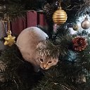 ���� �������, ���������, 53 ���� - ��������� 2 ����� 2024 � ������ ���� ����������